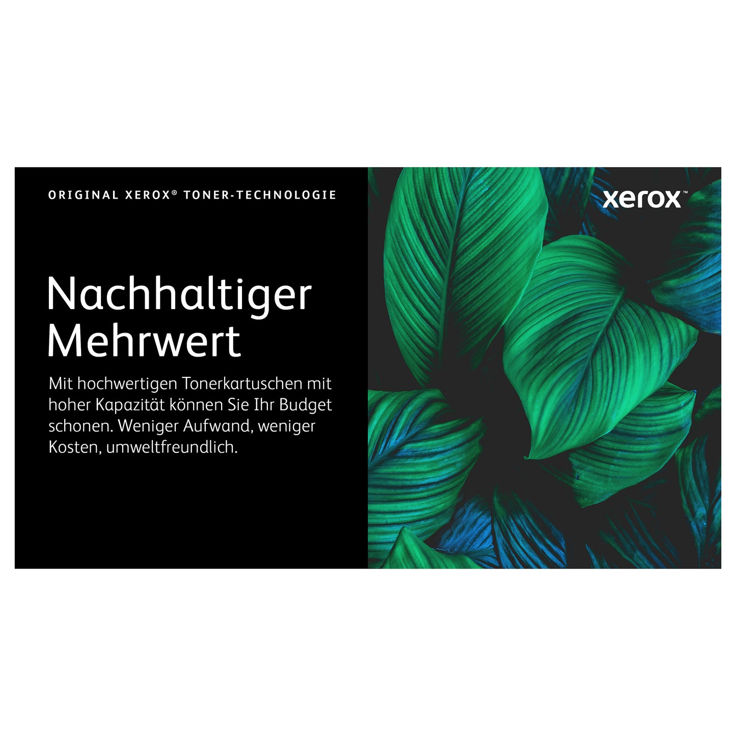 Xerox PHASER 6510 / WORKCENTRE 6515 Gelb-Standardtonermodul (1.000 Seiten)