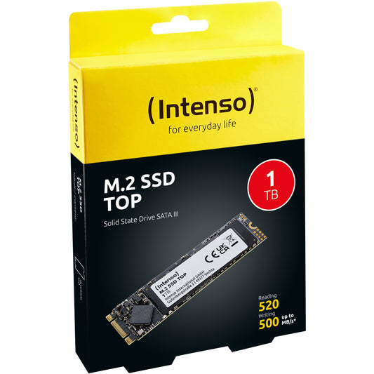 M.2 1TB Intenso Top Performance