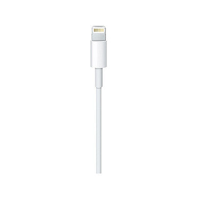 Apple USB-C auf Lightning Kabel 2M Retail