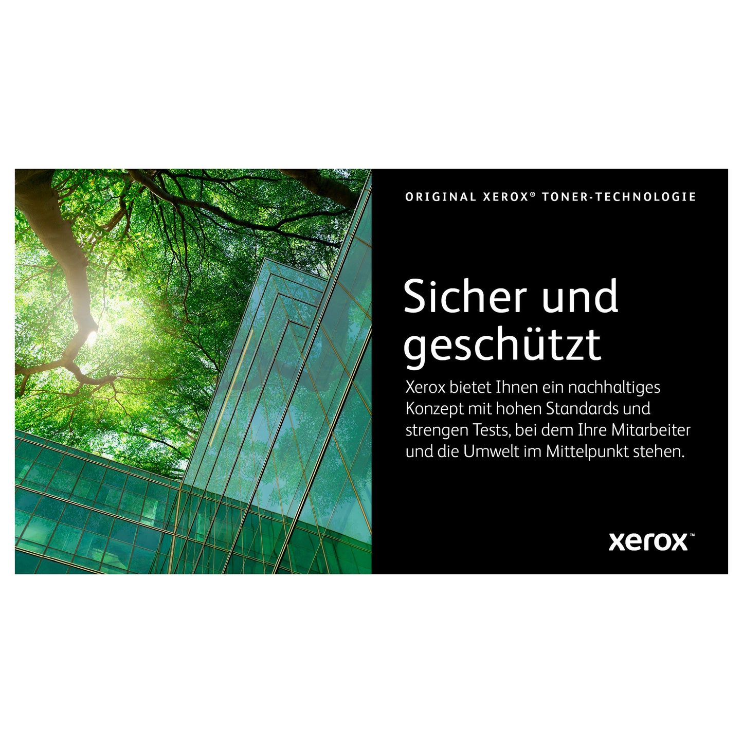 Xerox Toner 106R03480 Schwarz bis zu 5.500 Seiten