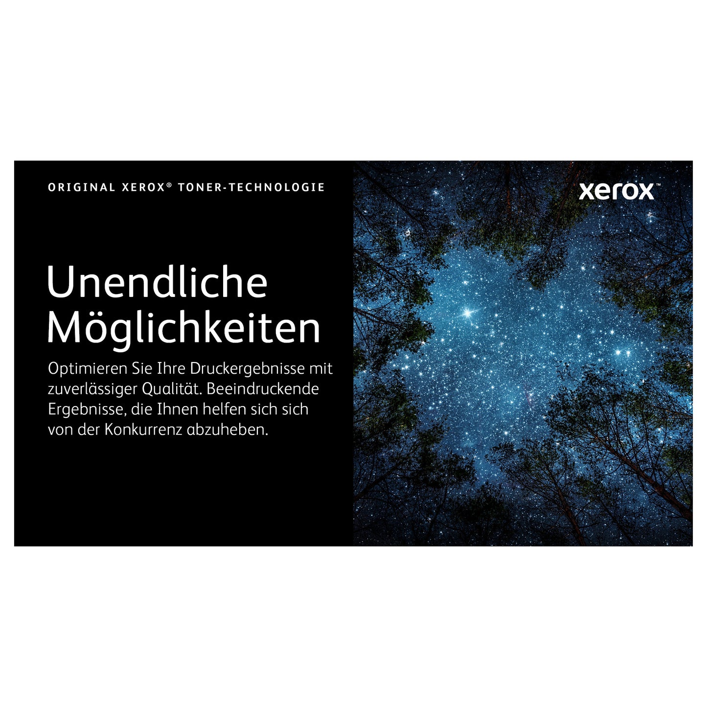 Xerox Toner 106R03480 Schwarz bis zu 5.500 Seiten