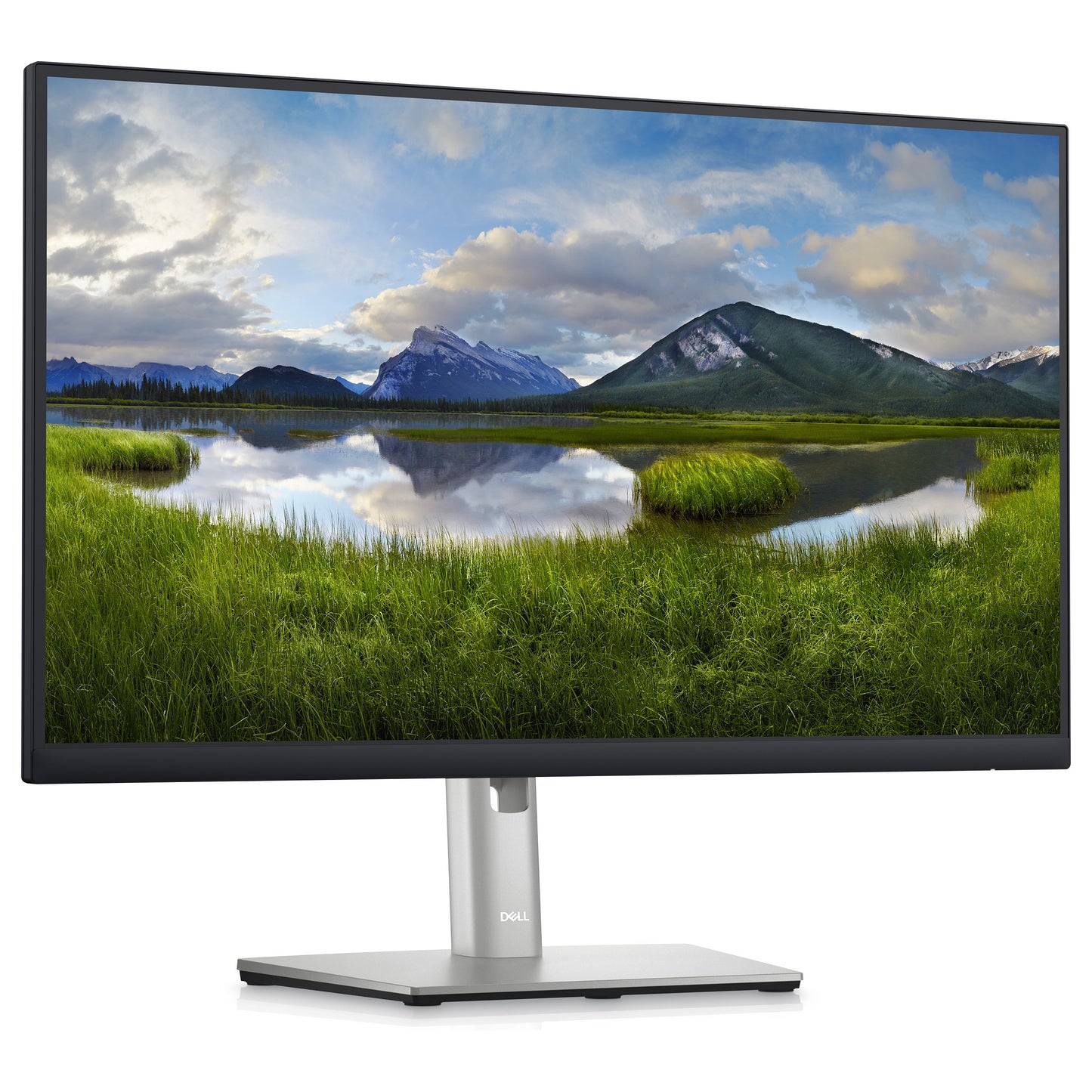 60,45cm/23,8'' (2560x1440) DELL-P2423D 16:9 8ms IPS DisplayPort HDMI USB VESA Pivot Black/Silver