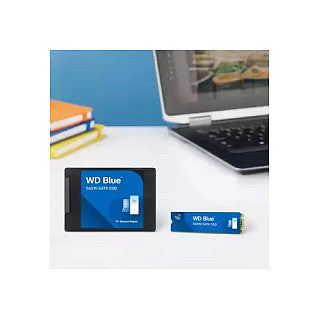 2.5" 500GB WD Blue SA510