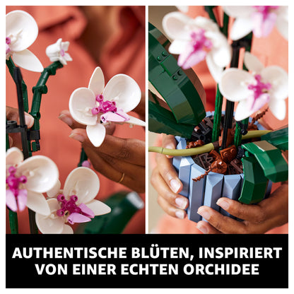 LEGO Creator Botanicals Collection Orchidee 10311