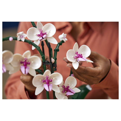 LEGO Creator Botanicals Collection Orchidee 10311