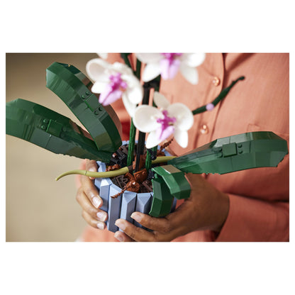 LEGO Creator Botanicals Collection Orchidee 10311