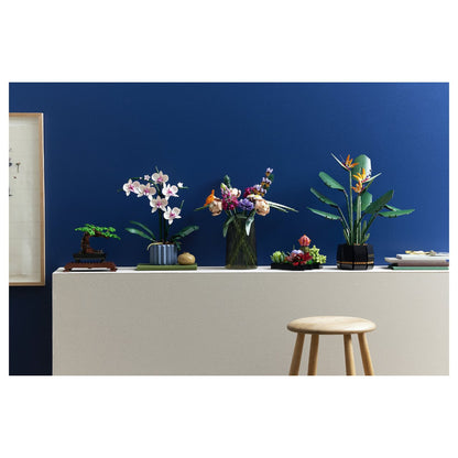 LEGO Creator Botanicals Collection Orchidee 10311
