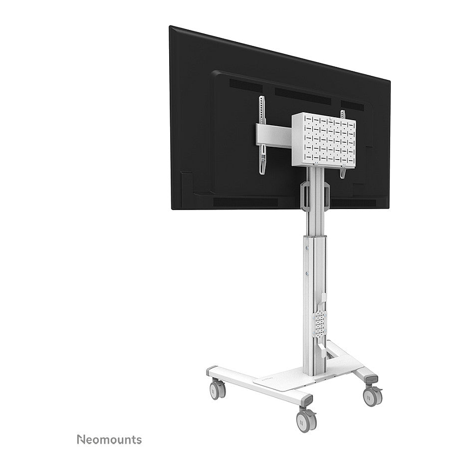 Neomounts FL50S-825WH1 mobiler Bodenständer für 37-75" Bildschirme - Weiß