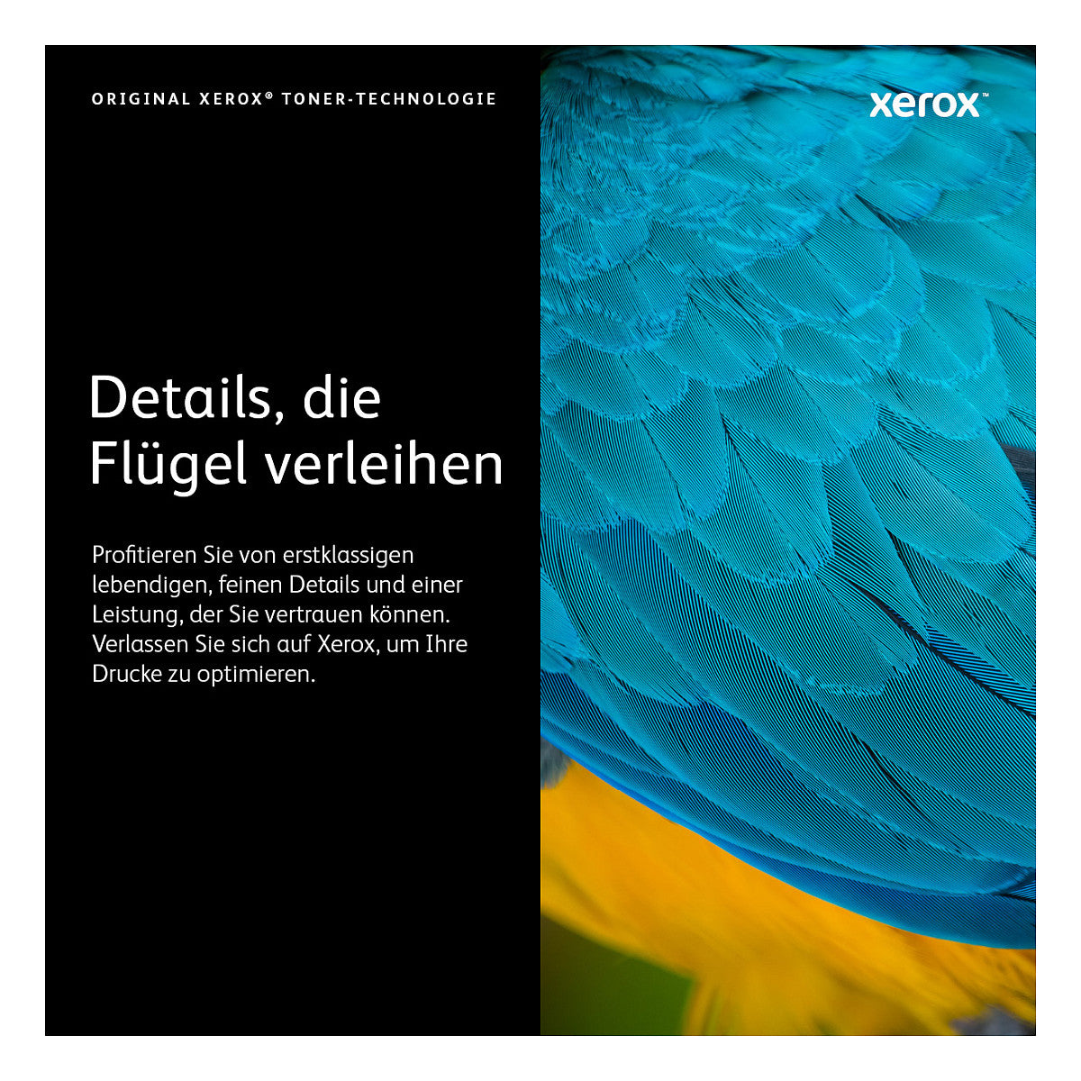Xerox Toner 106R03923 Schwarz bis zu 16.900 Seiten