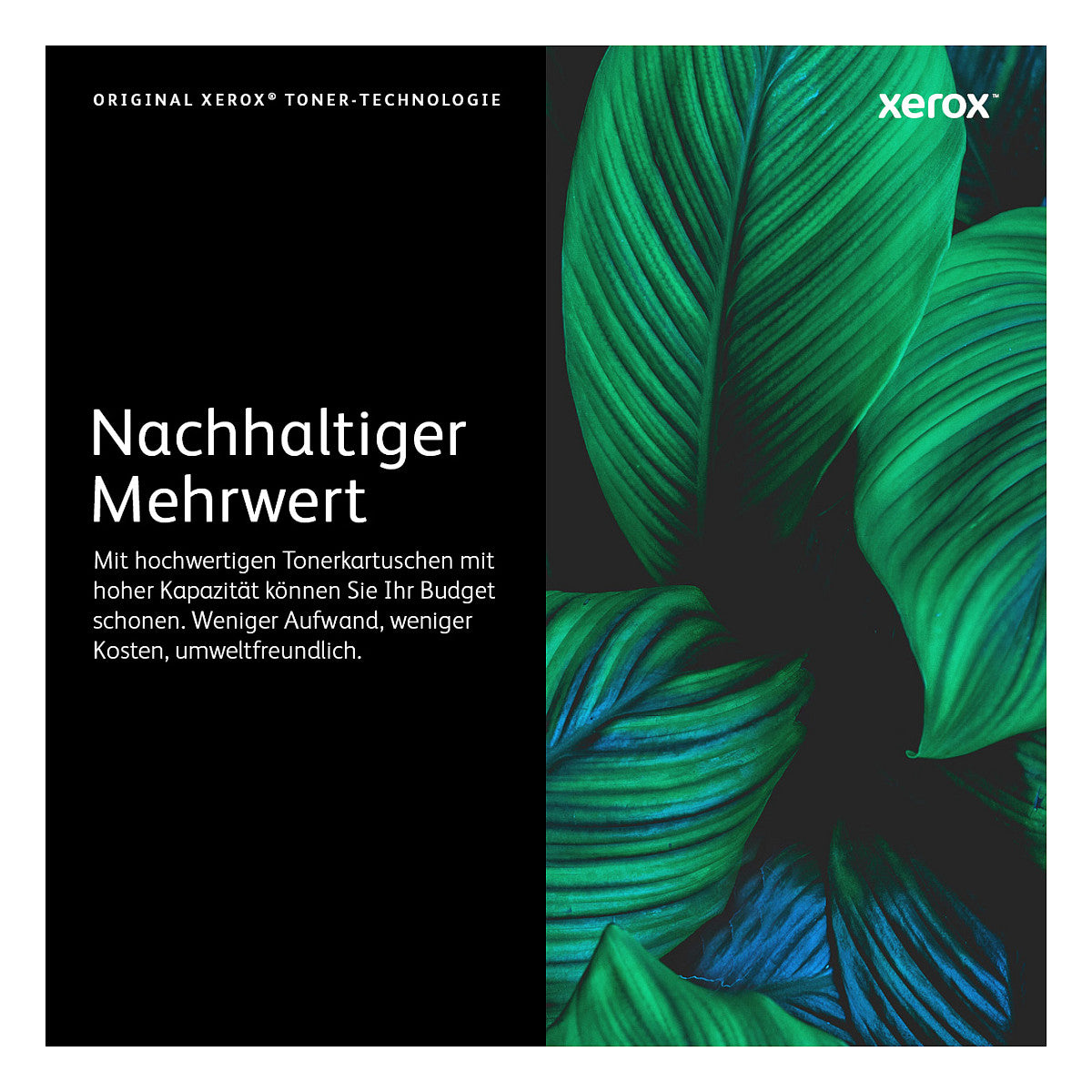 Xerox Toner 106R03923 Schwarz bis zu 16.900 Seiten