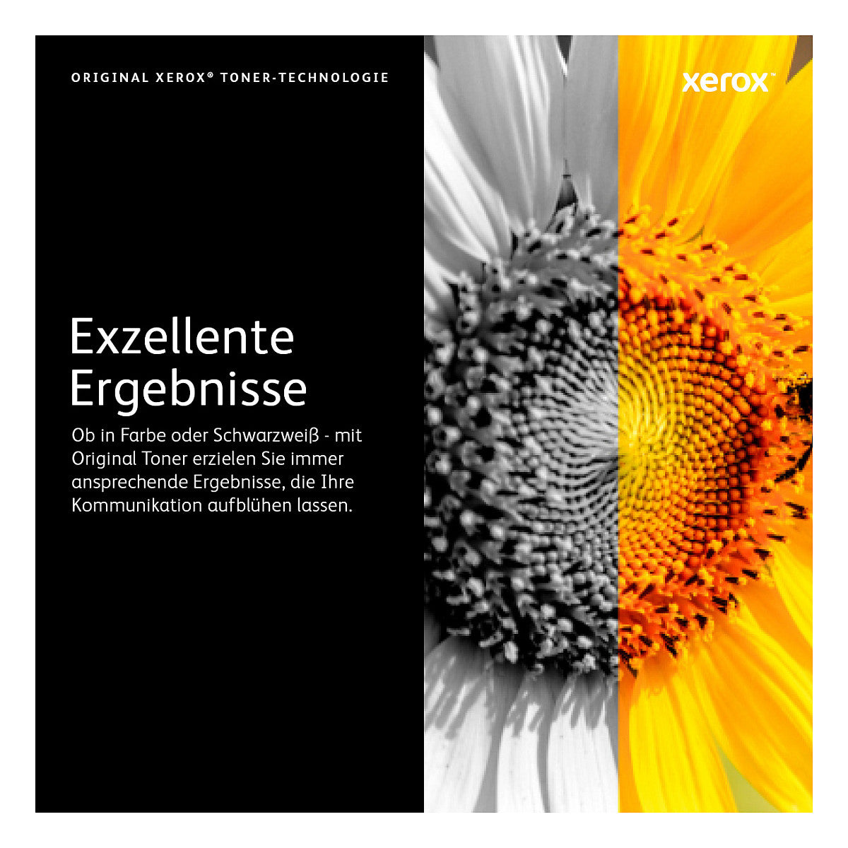 Xerox Toner 106R03923 Schwarz bis zu 16.900 Seiten