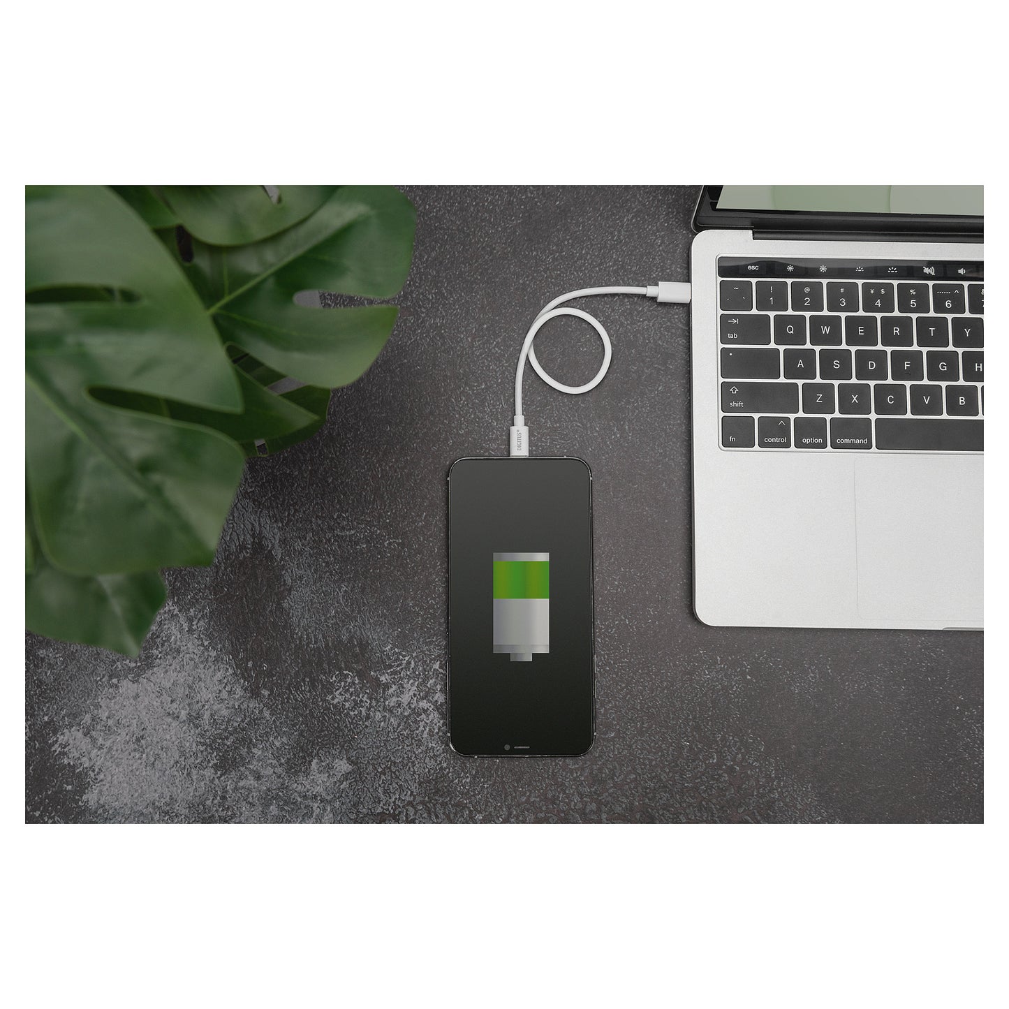 DIGITUS USB Kabel USB-C St. -> Lightning St., MFI 2M weiß