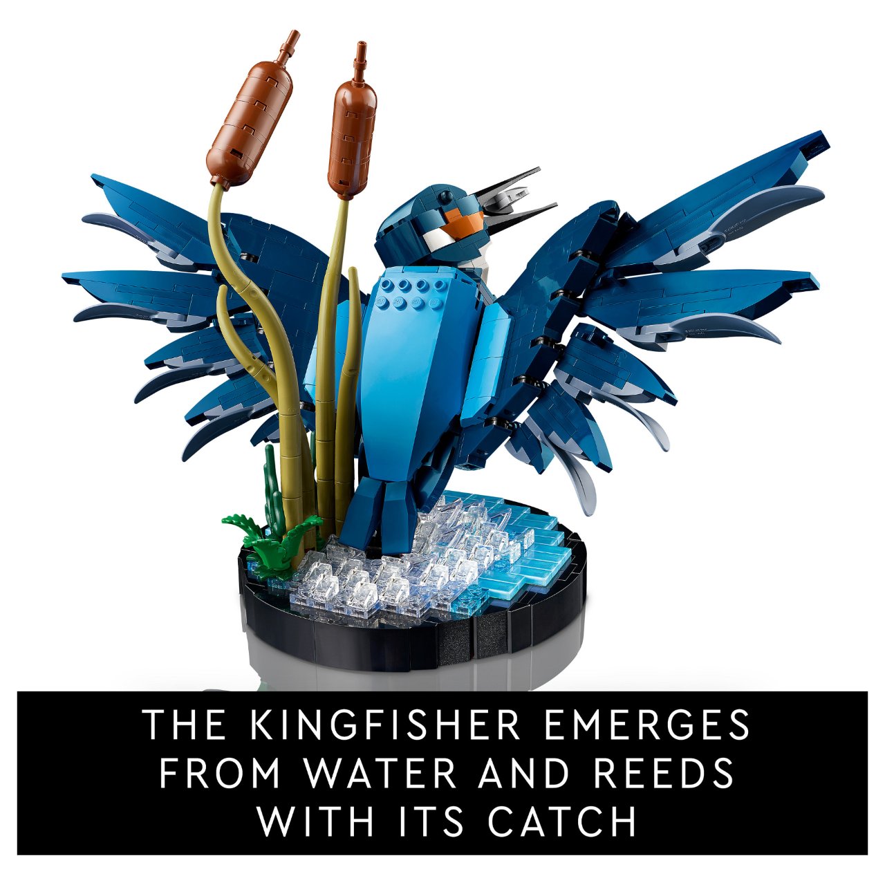 LEGO Icons Eisvogel 10331