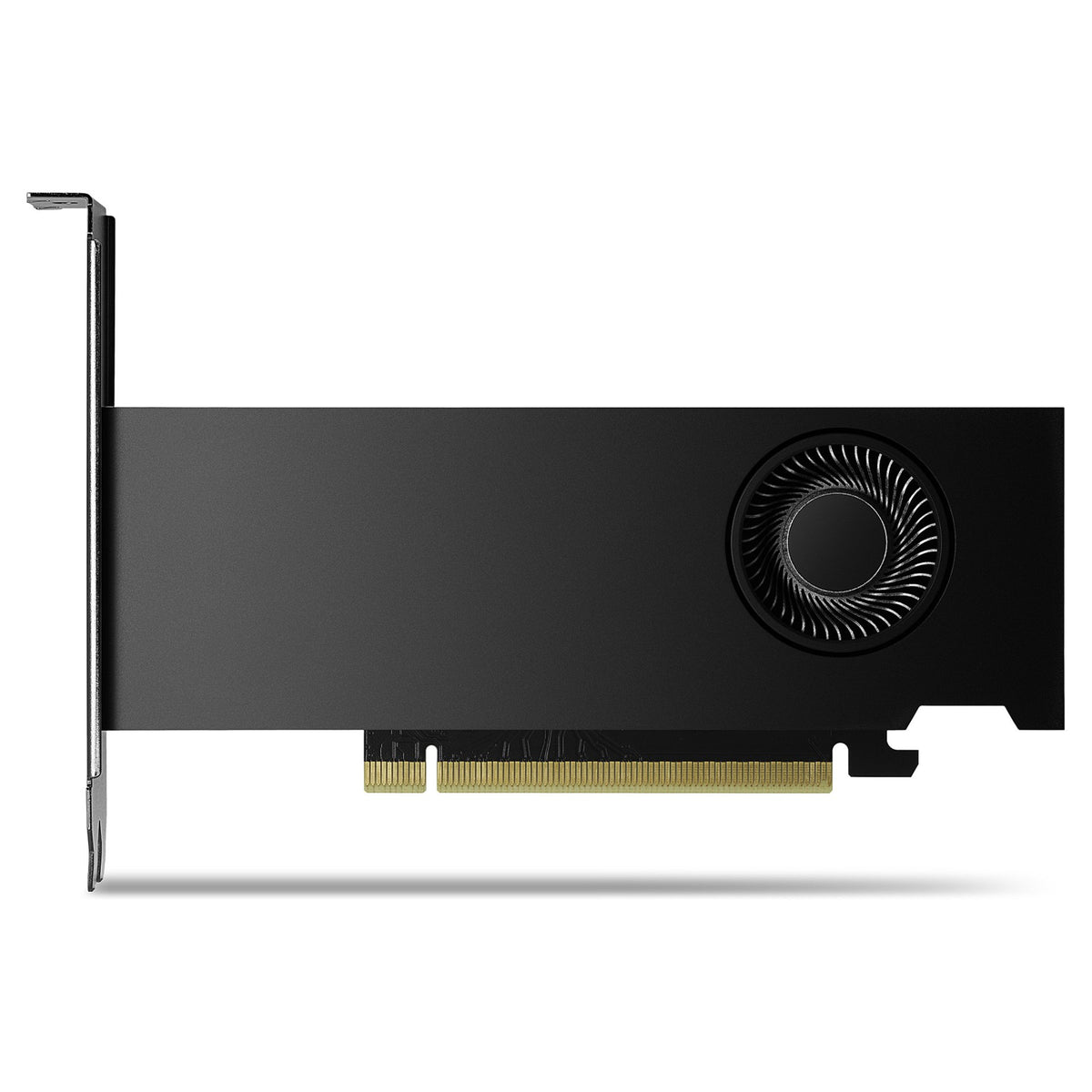 Quadro RTX 2000 ADA 16GB PNY (Small Box)