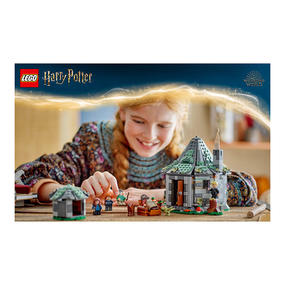 LEGO Harry Potter Hagrids Hütte: Ein unerwarteter Besuch 76428