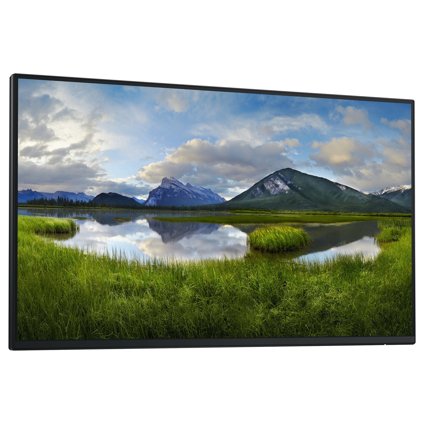 60.47cm/23.8" (1920x1080) Dell P2425H Without Stand 16:9 FHD IPS 5ms 100Hz HDMI DP VGA USB-C Black/Silver