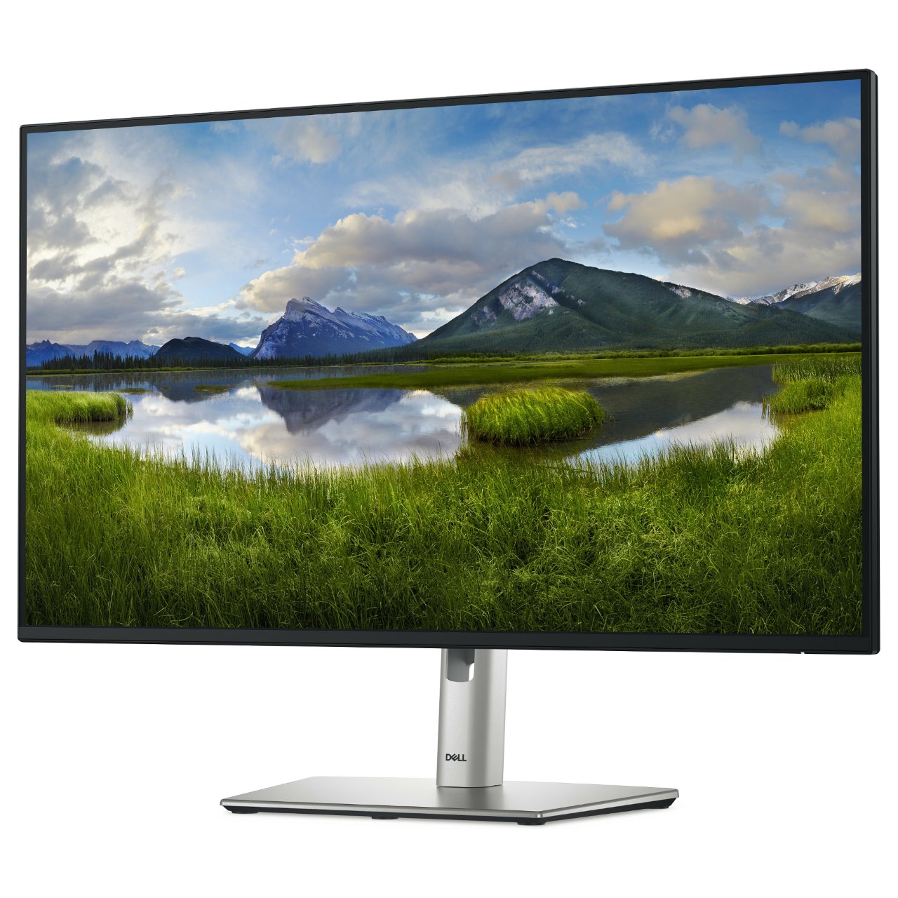 68,6cm/27" (1920x1080) Dell P2725H 16:9 FHD IPS 5ms 100Hz HDMI DP VGA USB-C Black/Silver