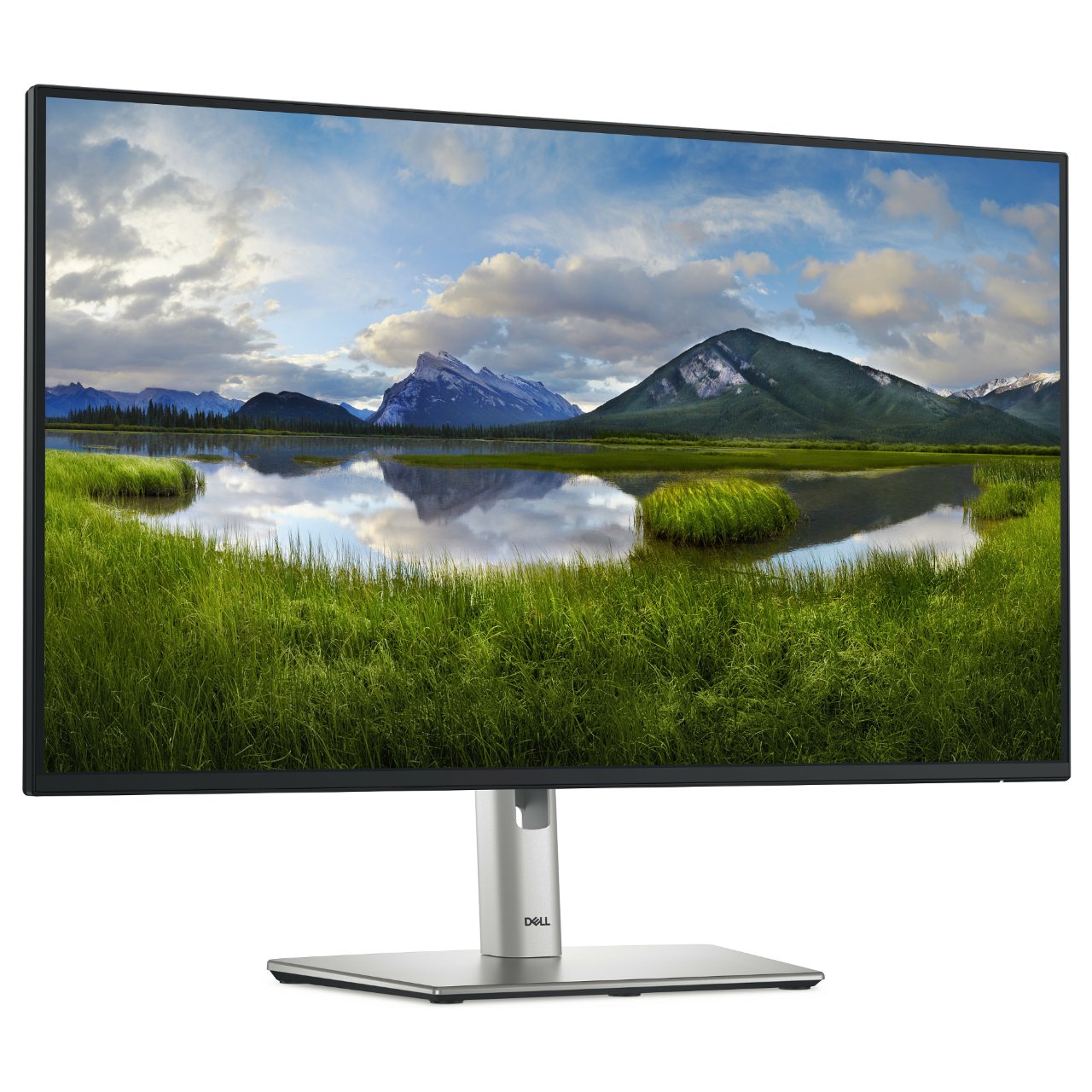 68,6cm/27" (1920x1080) Dell P2725H 16:9 FHD IPS 5ms 100Hz HDMI DP VGA USB-C Black/Silver