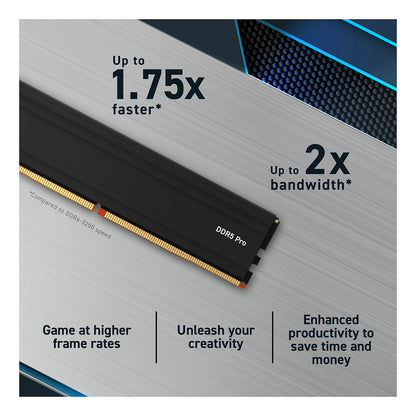 5600 48GB KIT Crucial 24GBx2