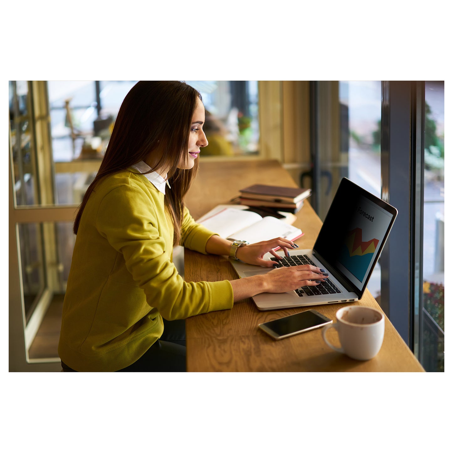 3M Bright Screen Privacy Filter - Blickschutzfilter für 13,3" Notebooks