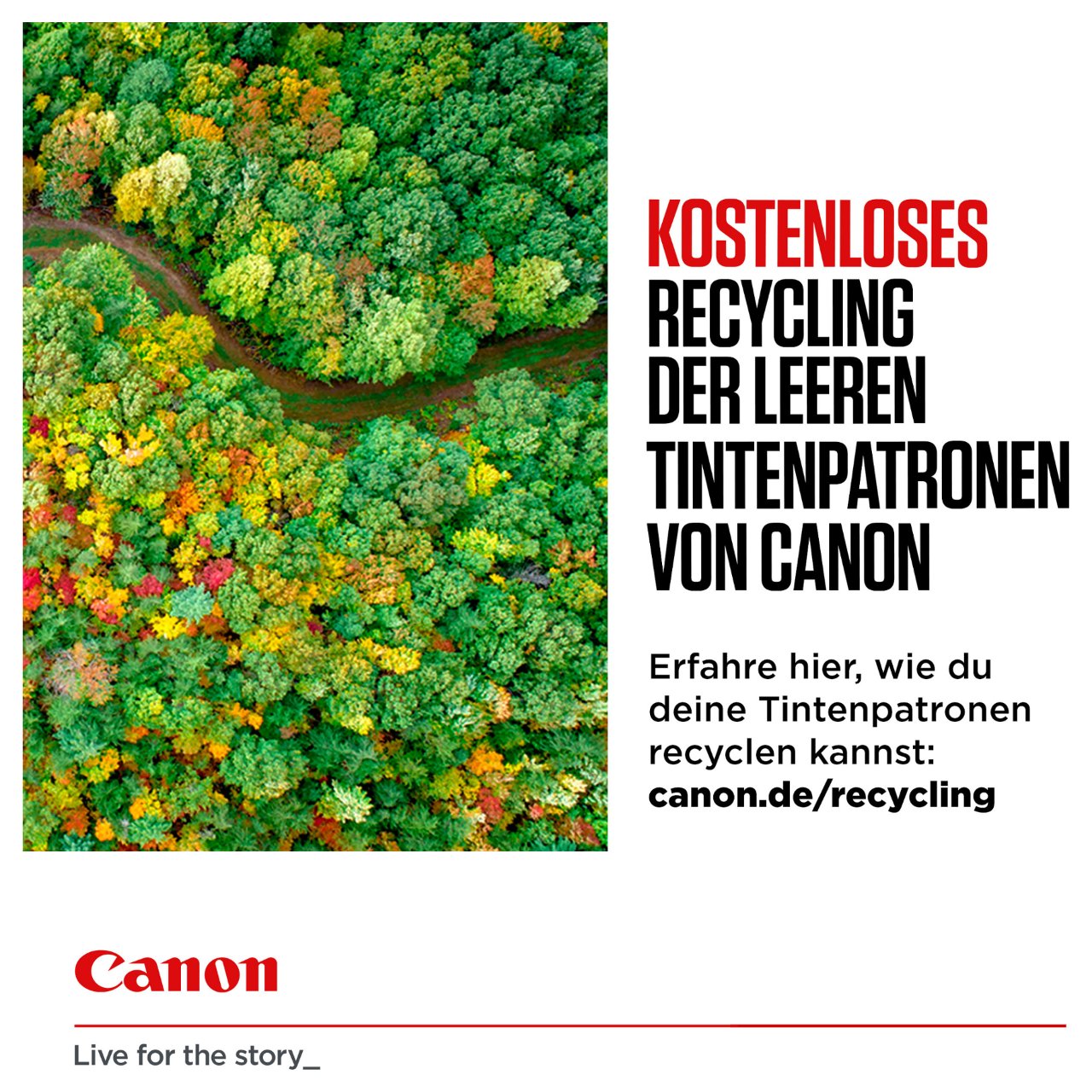 Canon Tinte PGI-2500XL 9254B011 2er Multipack Schwarz