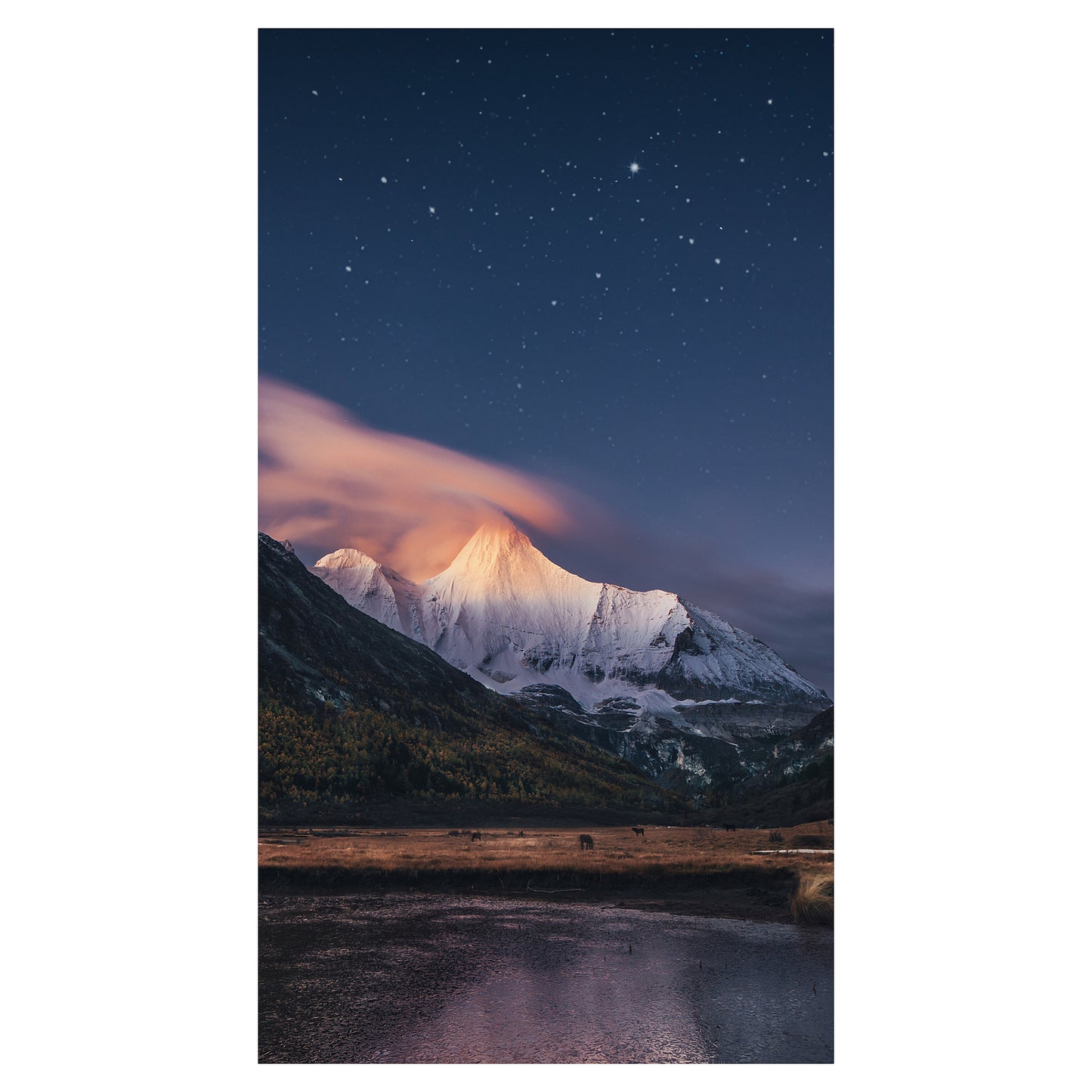 138cm/55" (1920x1080) Samsung VM55C-R 16:9 FHD IPS 24/7 8ms HDMI DP DVI USB LAN Black