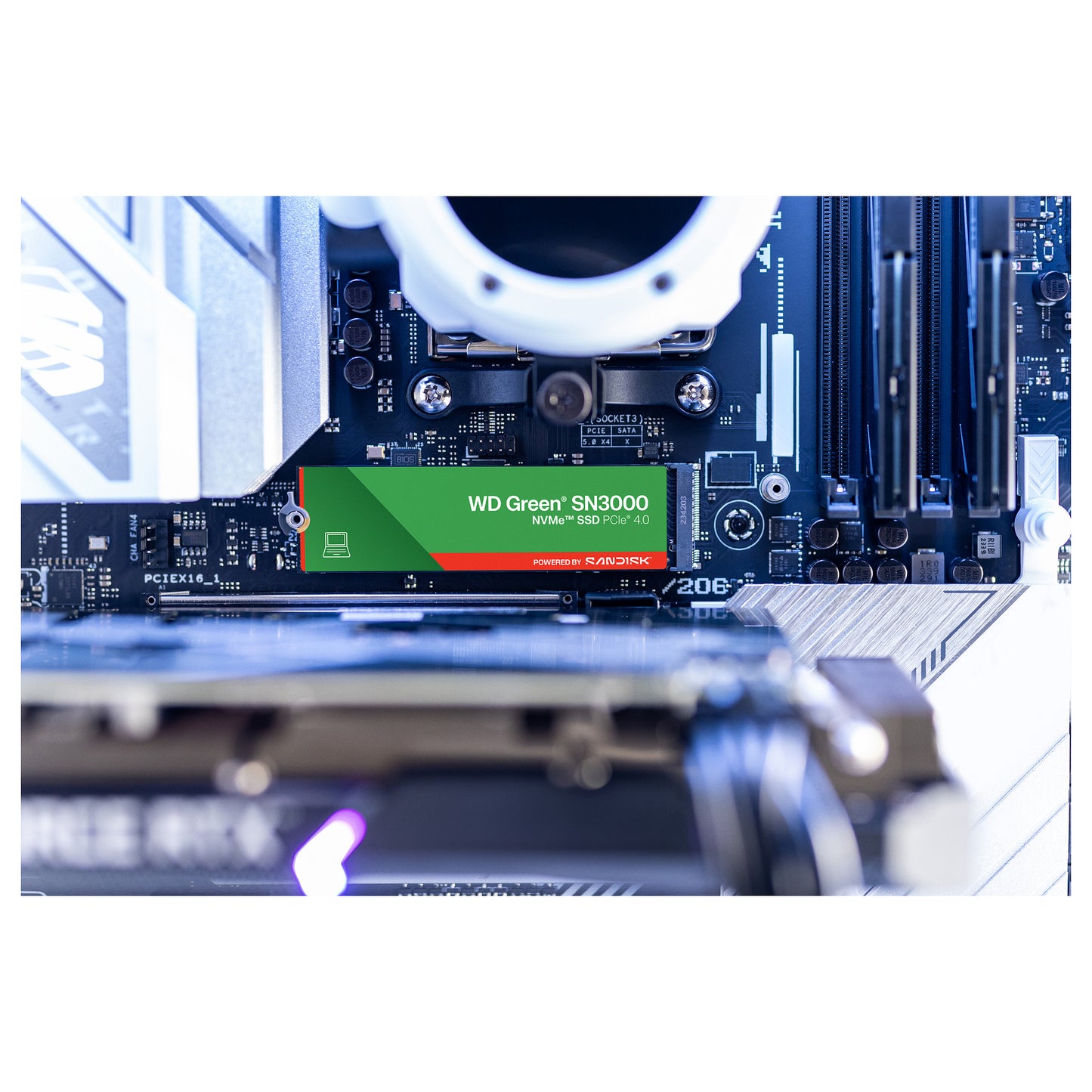 M.2 2TB WD Green SN3000 NVMe PCIe 4.0 x 4