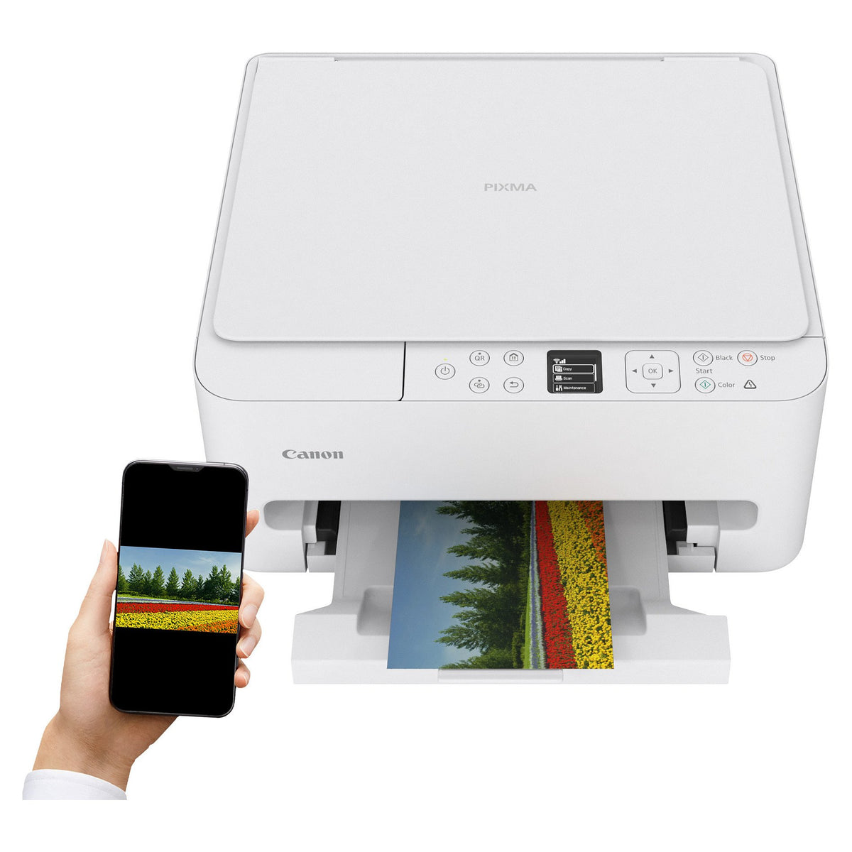 Canon PIXMA TS6550i Multifunktionsdrucker - Farbe - Tintenstrahl 3in1