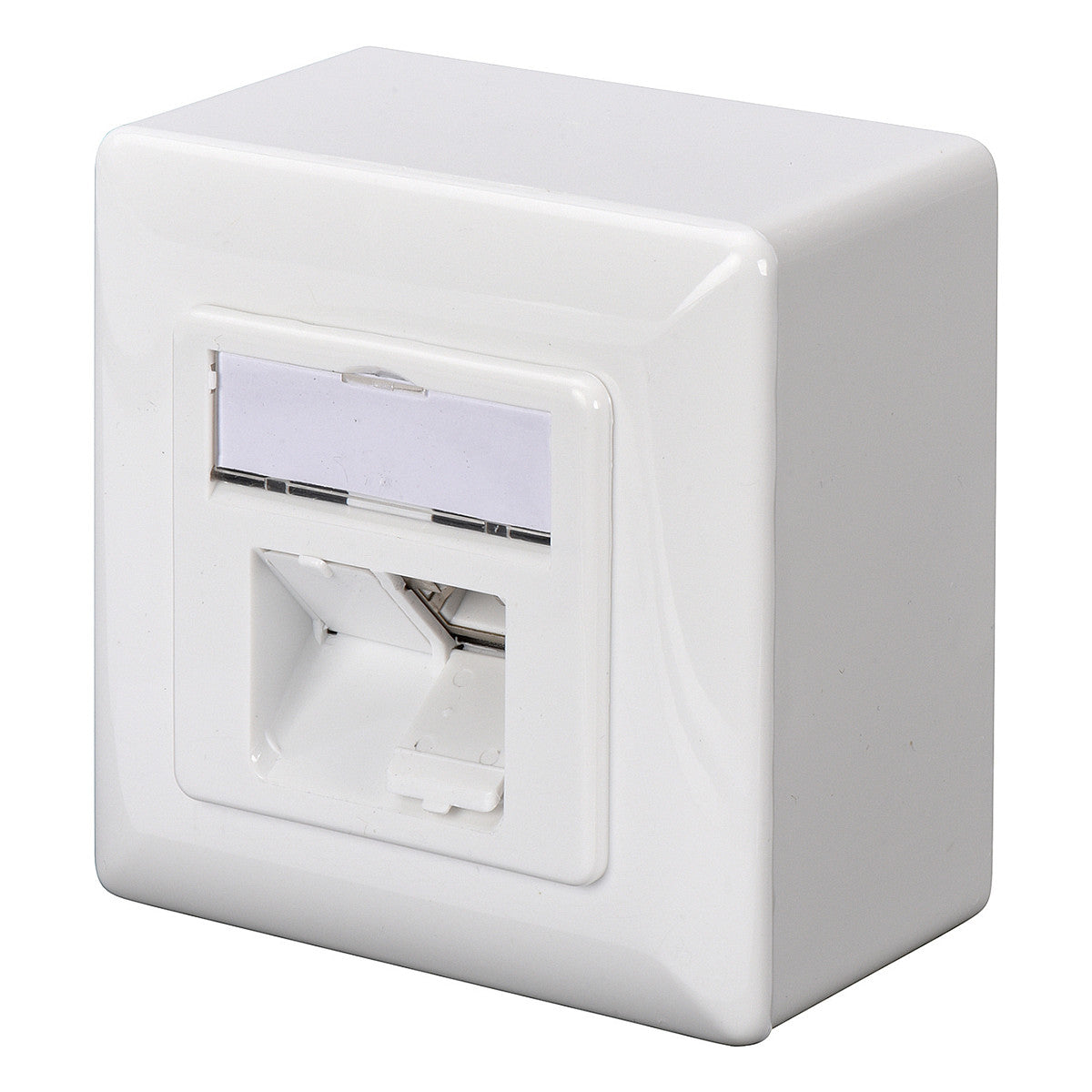 DIGITUS Aufputzdose Cat6a 2xRJ45 geschirmt Signalweiß