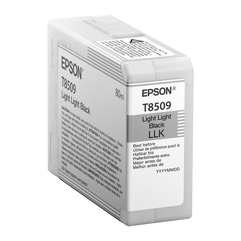 Epson C13T850900 light black