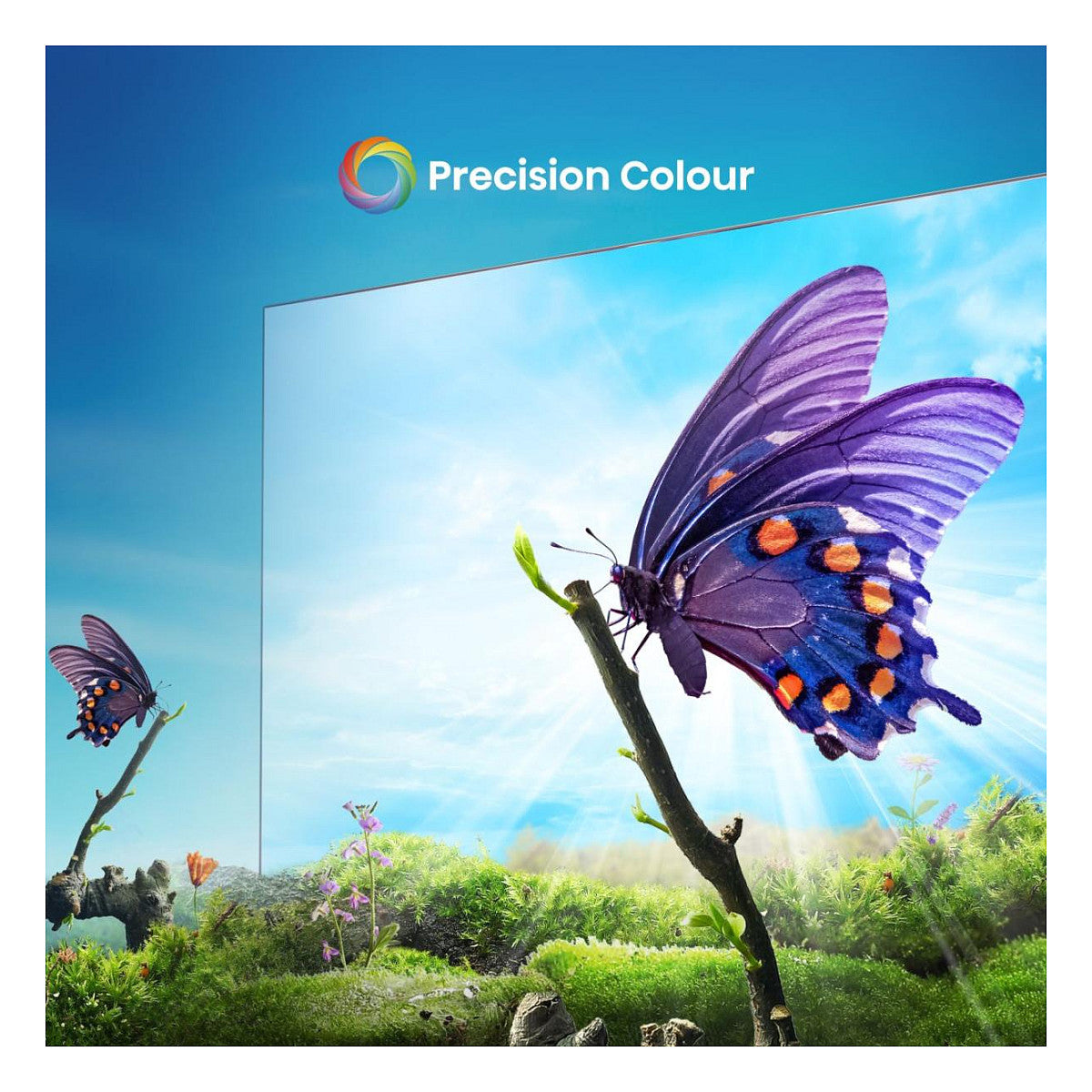 189,0cm/75" (3840x2160) Hisense 75E6NT 16:9 DLED 60Hz HDMI USB WLAN Bluetooth HDR10+ Speaker Black