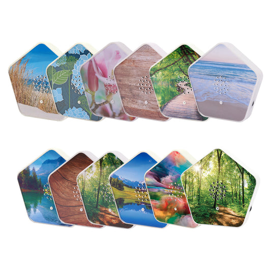 Olympia Sound of Nature Box 1 Stk.