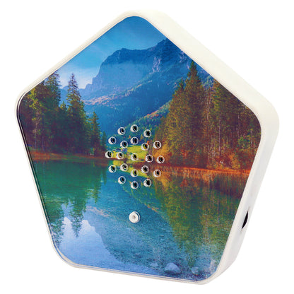 Olympia Sound of Nature Box 1 Stk.