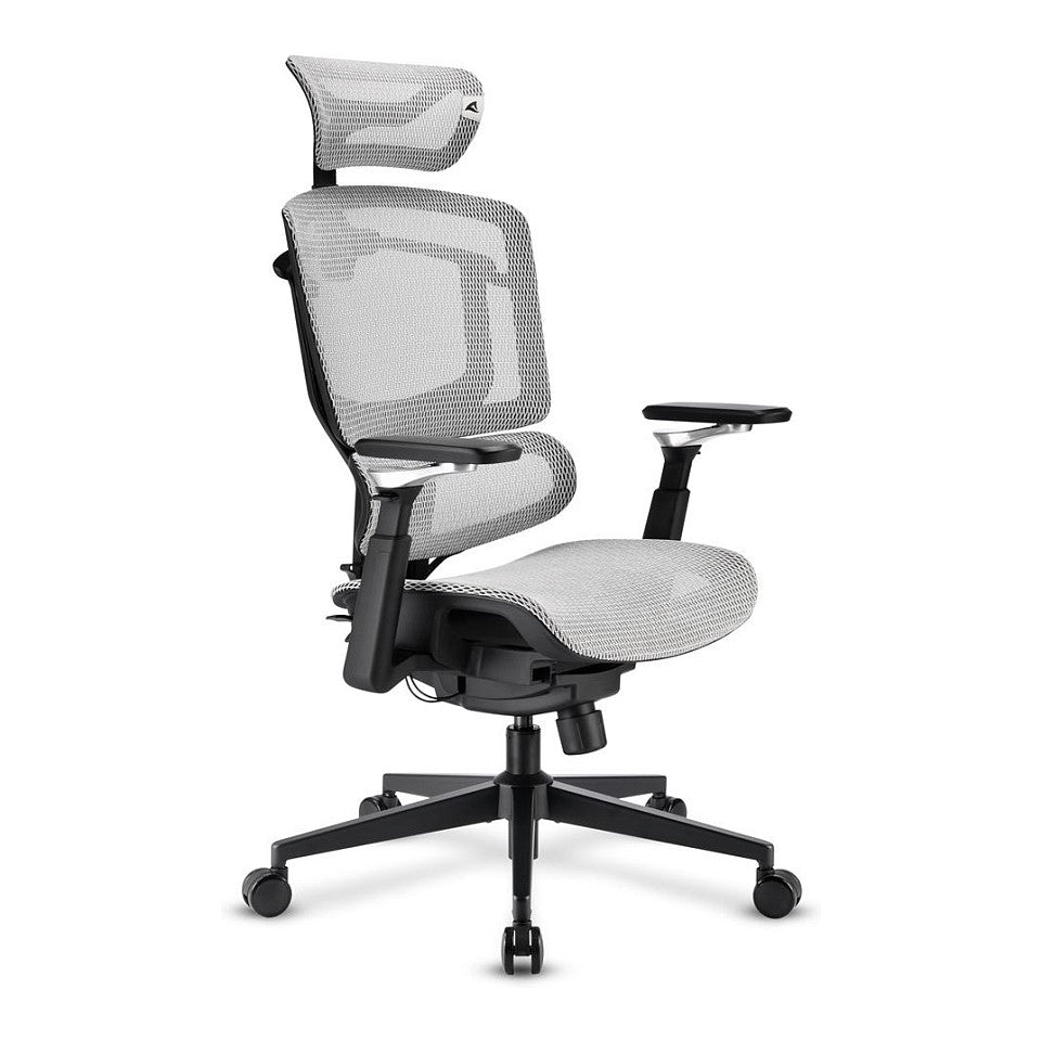 Sharkoon Brostuhl OfficePal C50M (grau)
