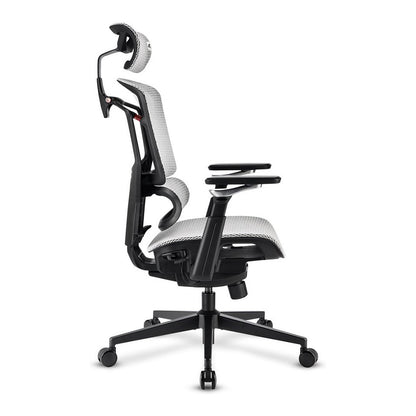 Sharkoon Brostuhl OfficePal C50M (grau)