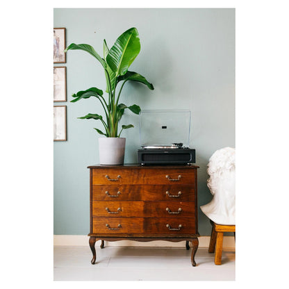 Lenco Plattenspieler LS-430BK black