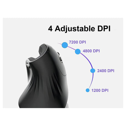 Equip Ergonomische Maus USB-A/-C Stker 1.80m Rechts schwarz