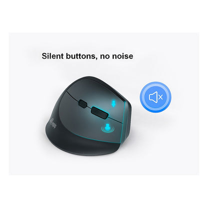 Equip Ergonomische Maus DM 2.4GHz+BT 6Button Rechts schwarz