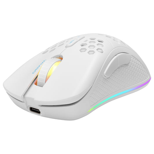 Deltaco Gaming Maus USB, RGB, weiß