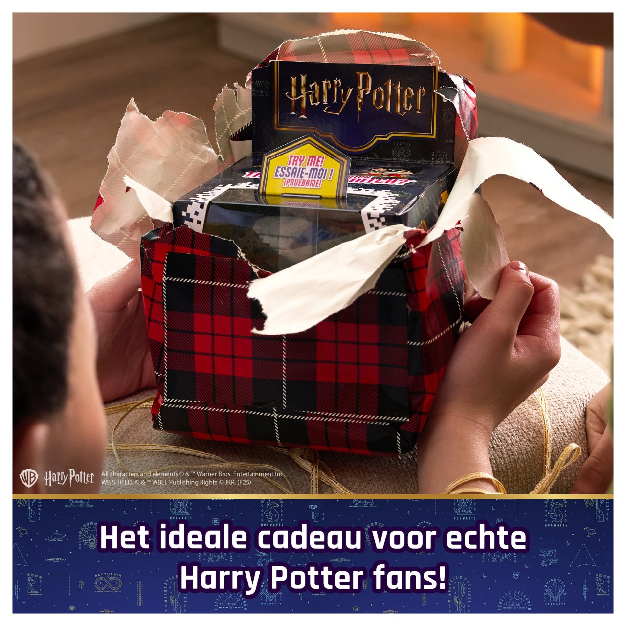 Spinmaster Bitzee Harry Potter