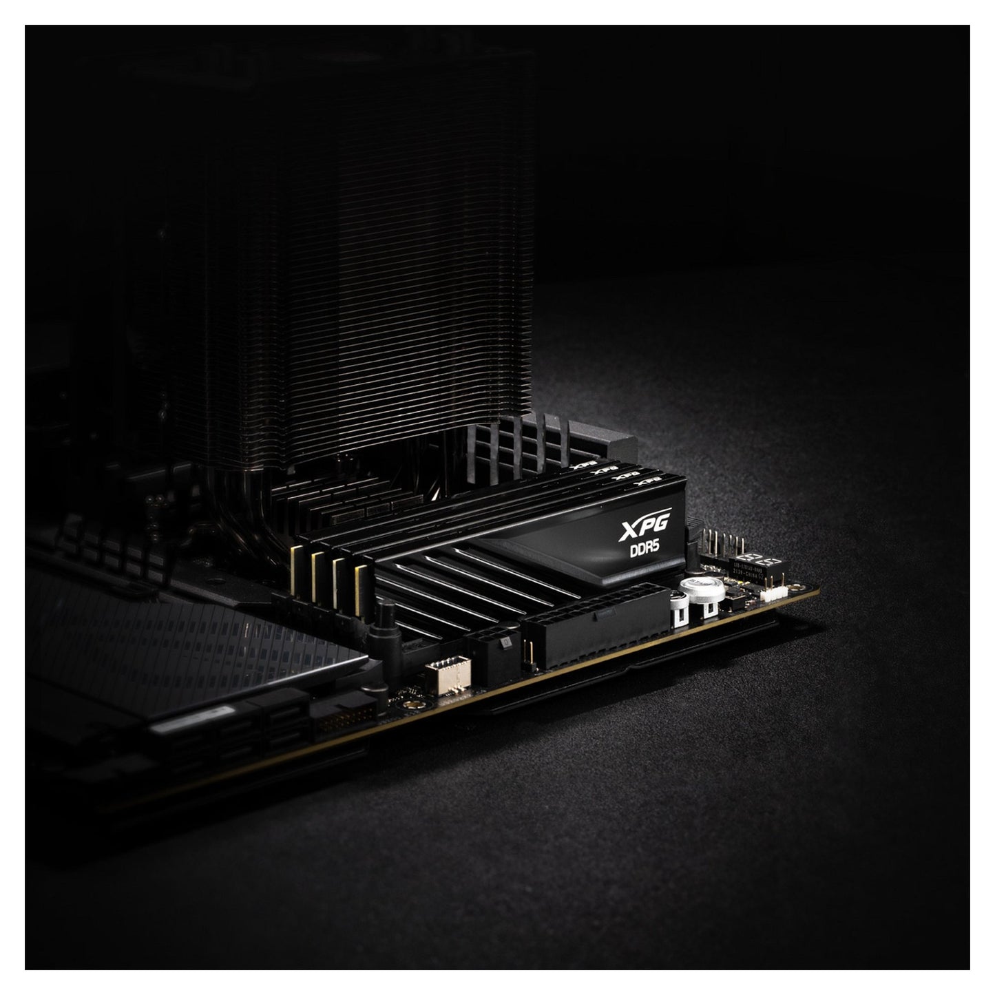 32GB DIMM 6000 (2x 16 GB) Dual-Kit (schwarz, AX5U6000C3616G-DTLABBK, XPG Lancer Blade, INTEL XMP, AMD EXPO)