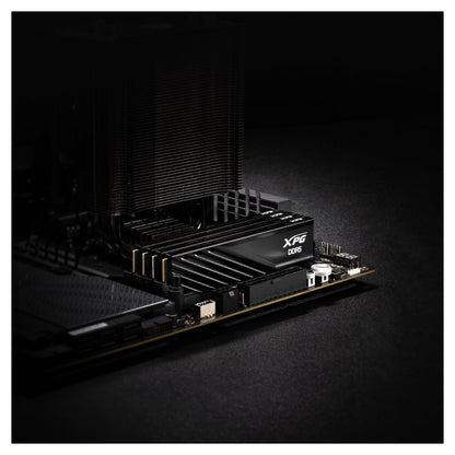 32GB DIMM 6000 (2x 16 GB) Dual-Kit (schwarz, AX5U6000C3616G-DTLABBK, XPG Lancer Blade, INTEL XMP, AMD EXPO)