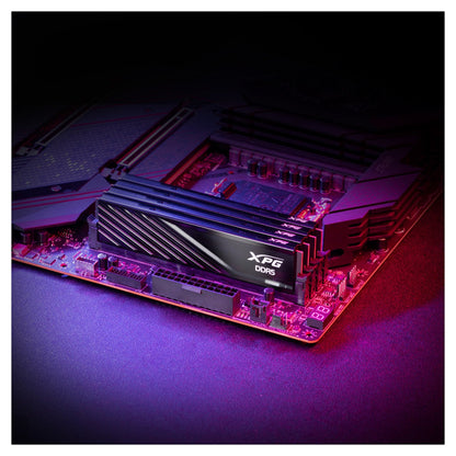 32GB DIMM 6000 (2x 16 GB) Dual-Kit (schwarz, AX5U6000C3616G-DTLABBK, XPG Lancer Blade, INTEL XMP, AMD EXPO)