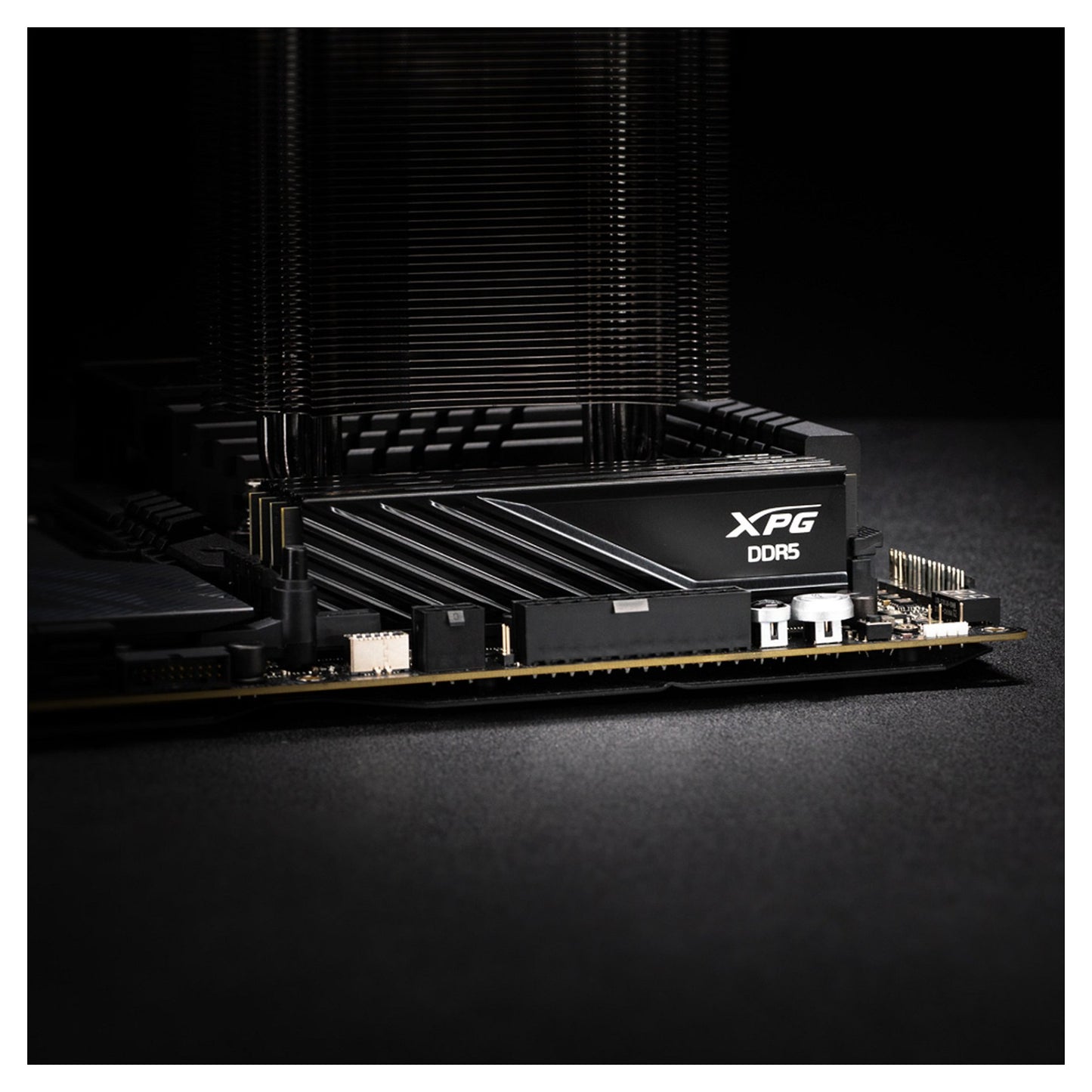 32GB DIMM 6000 (2x 16 GB) Dual-Kit (schwarz, AX5U6000C3616G-DTLABBK, XPG Lancer Blade, INTEL XMP, AMD EXPO)