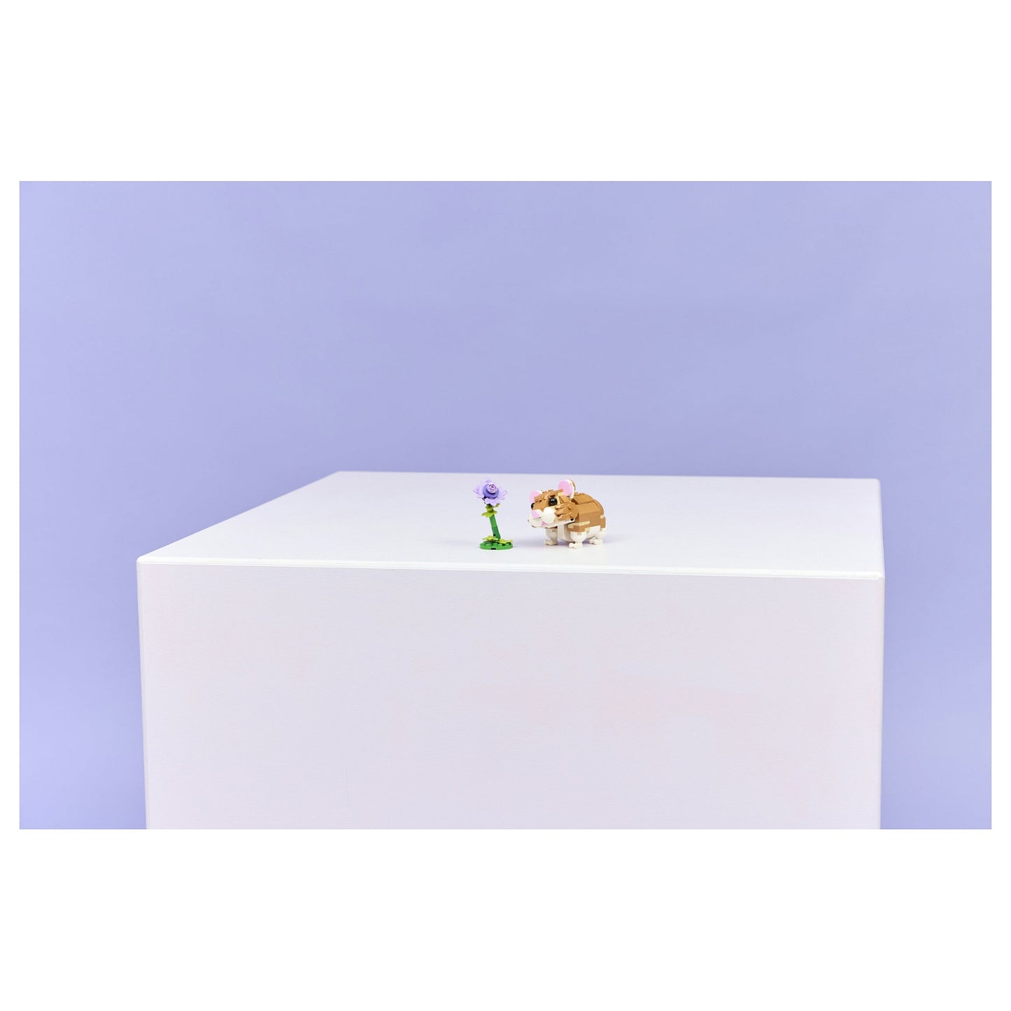 LEGO 31376 Creator 3-in-1 Niedlicher Hamster mit Blume