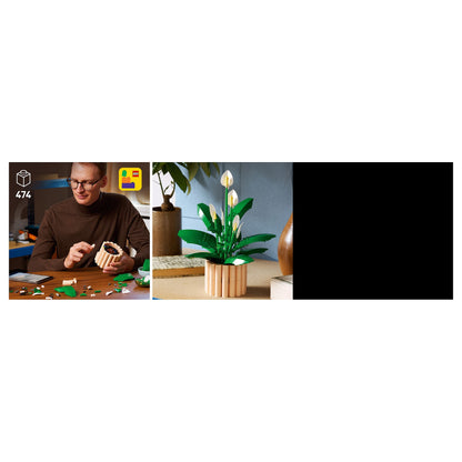 LEGO 11504 Botanicals Friedenslilie