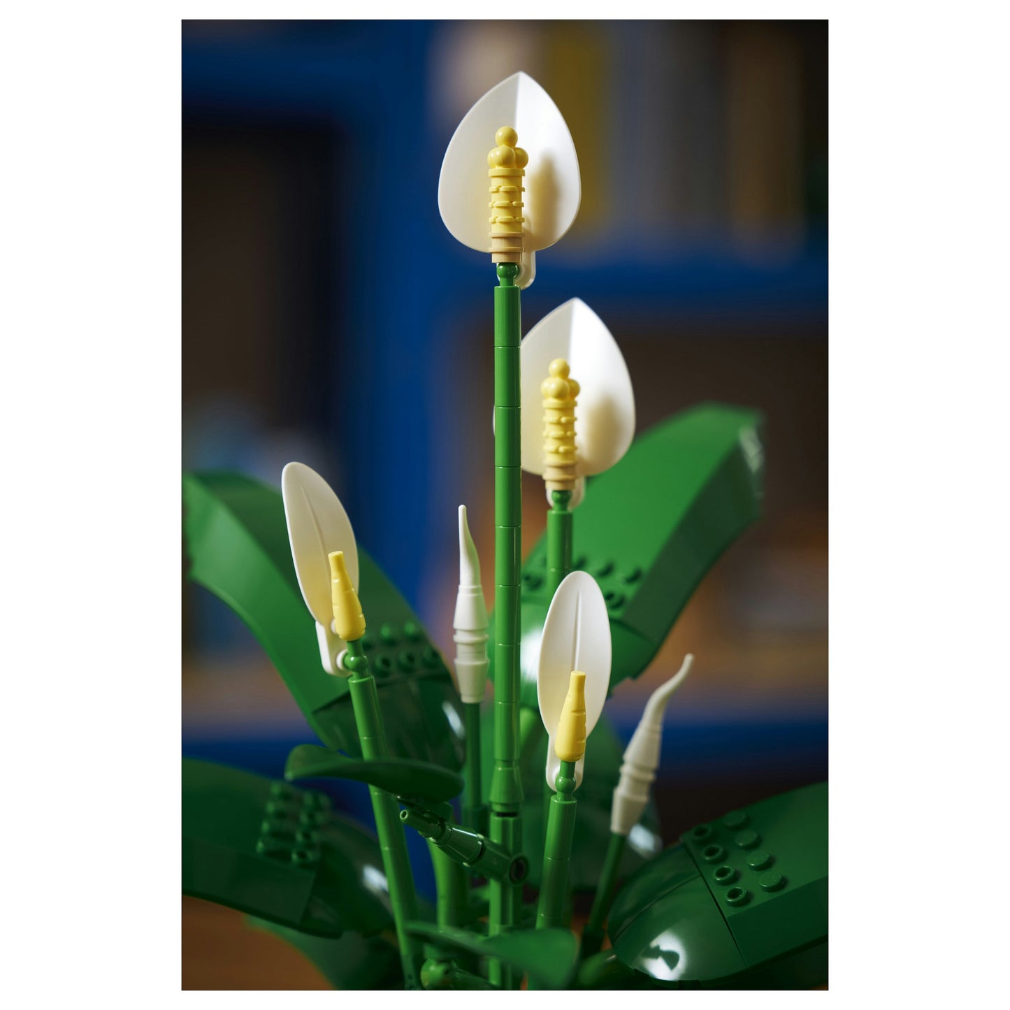 LEGO 11504 Botanicals Friedenslilie