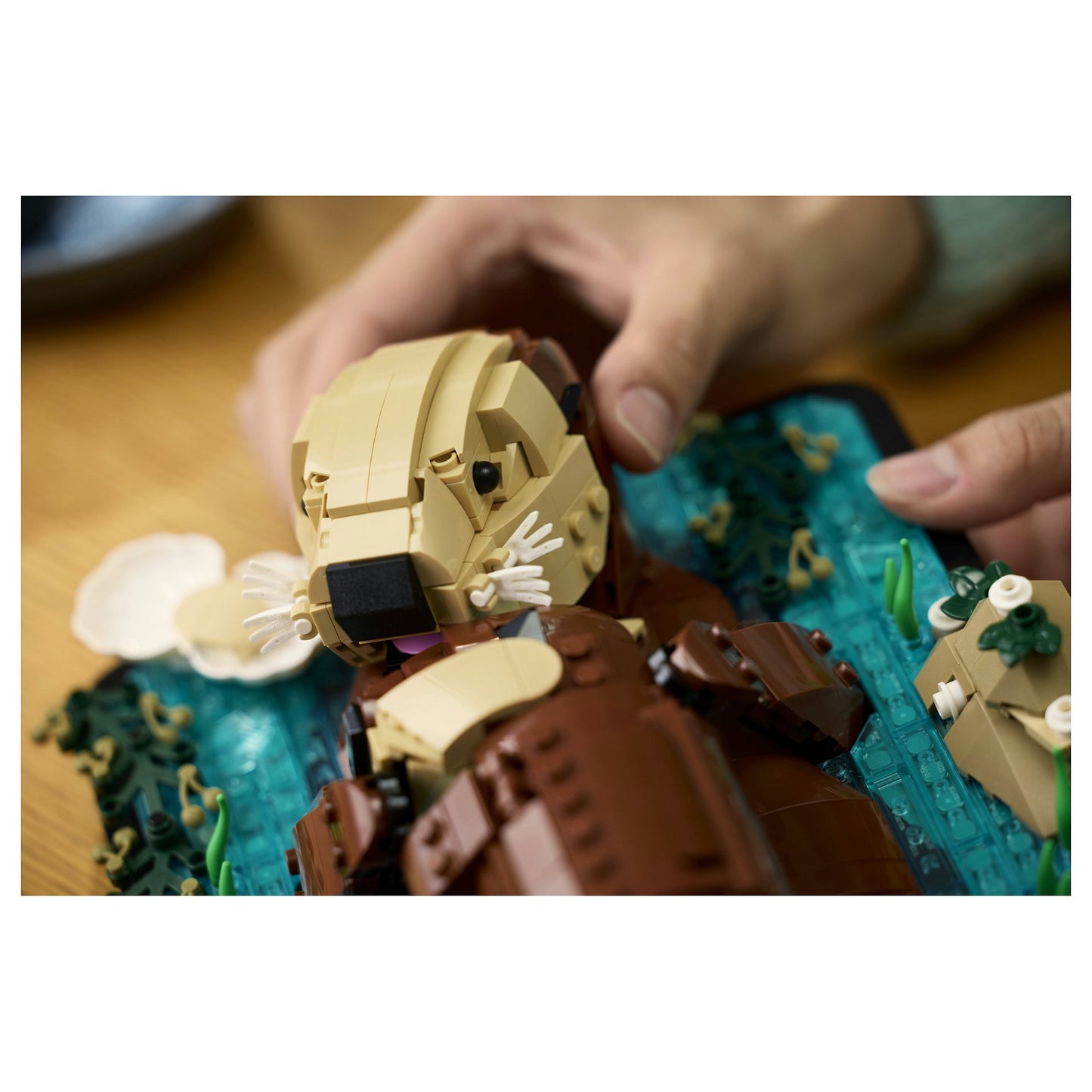 LEGO 21366 Ideas Schwimmende Otter