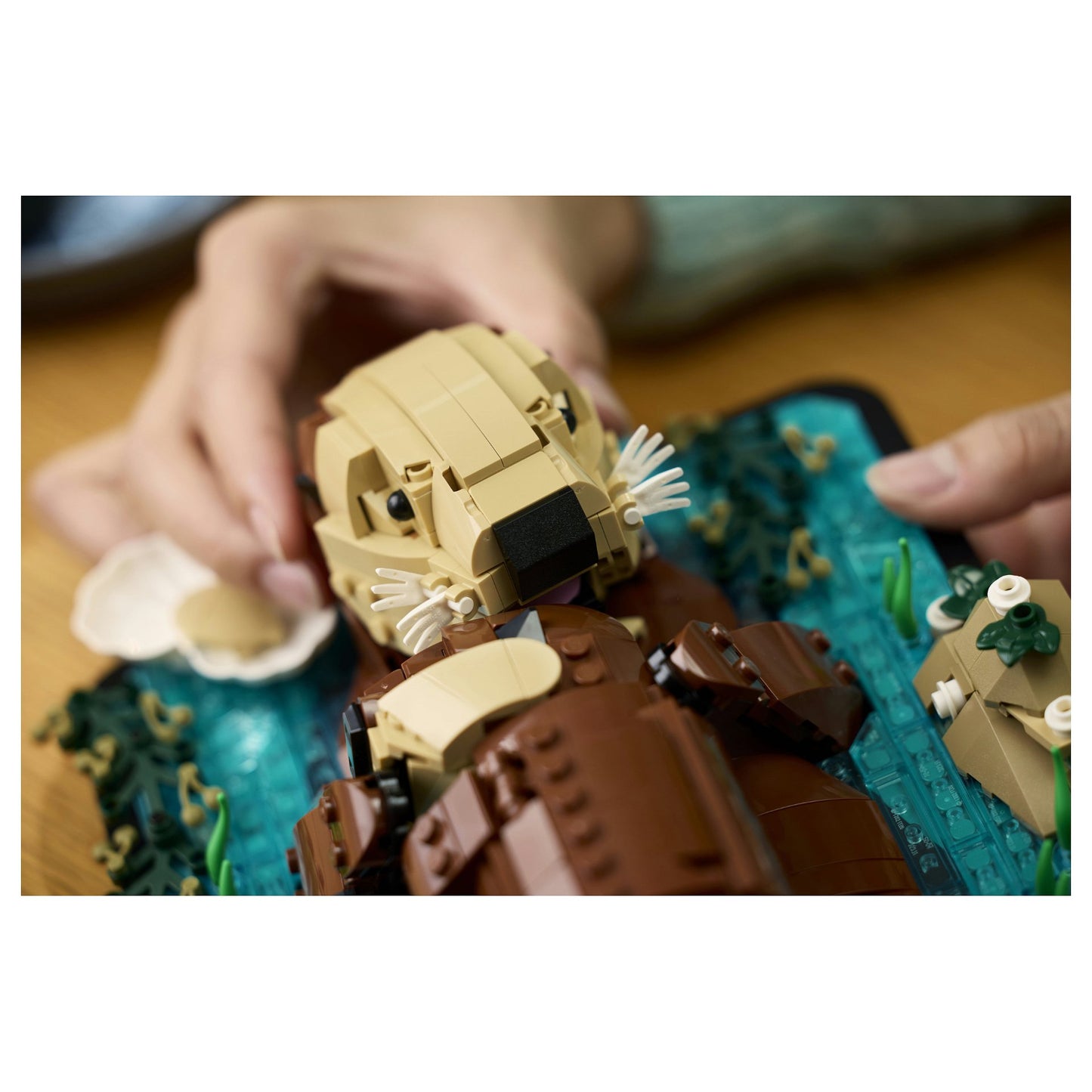LEGO 21366 Ideas Schwimmende Otter