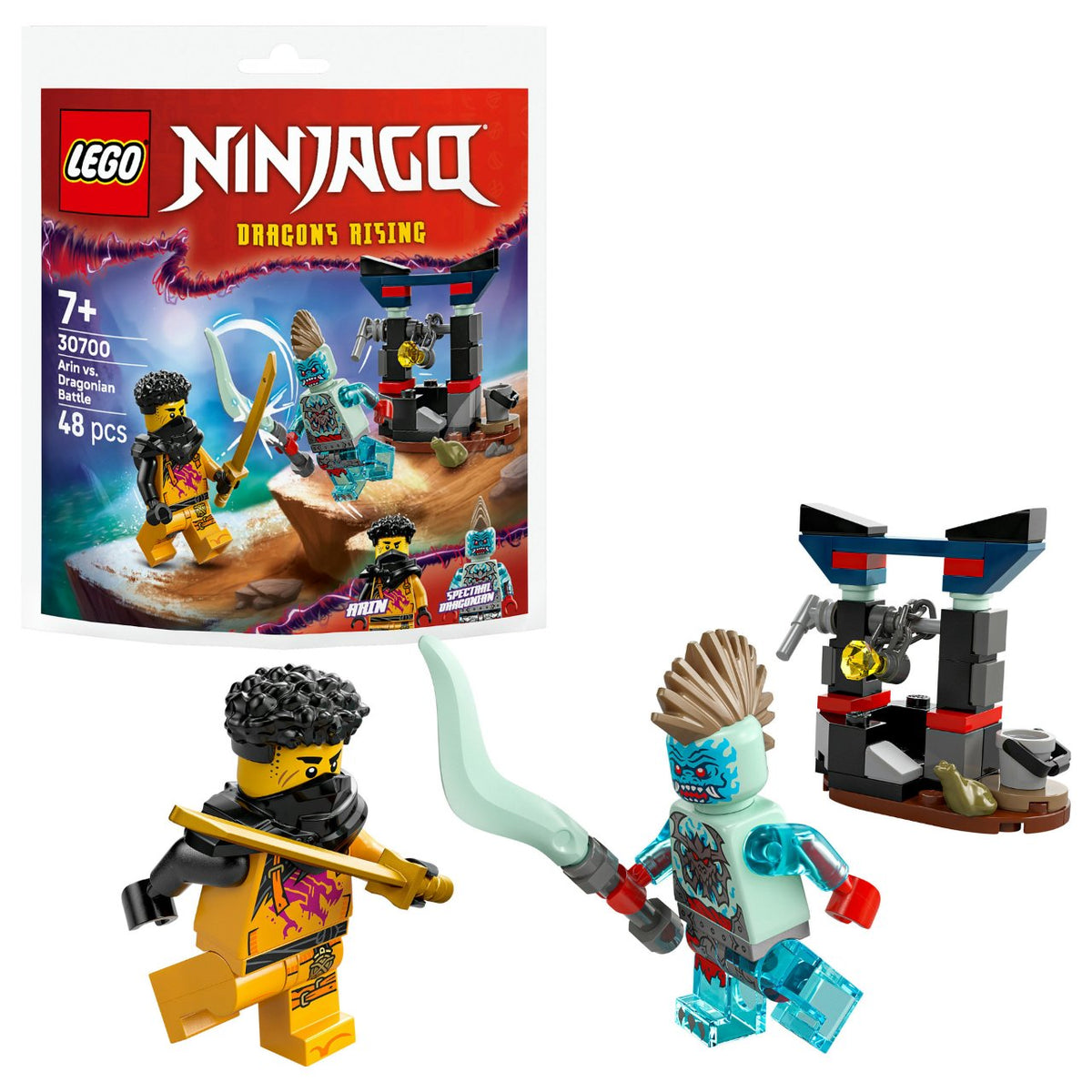 LEGO 30700 Ninjago Arins Duell mit dem Drachenmenschen (Polybag)